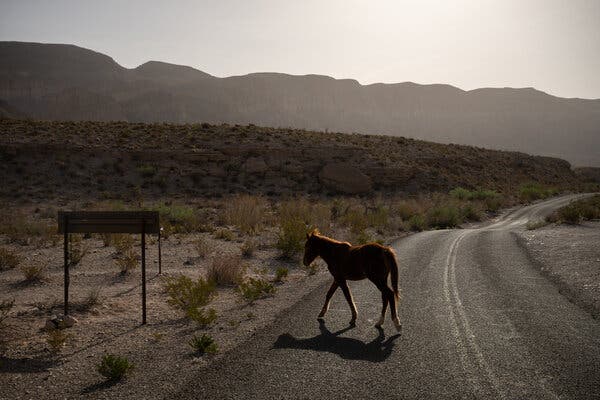President Trump Lifts Restrictions on Off-Road Vehicles in National Parks