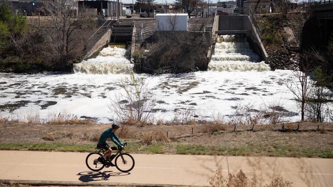 Navigating Climate Solutions Amid Policy Rollbacks