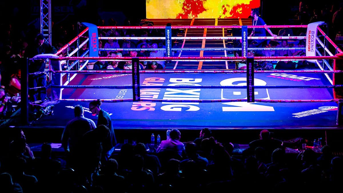 Controversial Knockout in Heavyweight Boxing Match