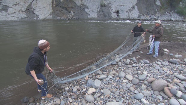 The Muckleshoot Tribe and the Essential Role of Salmon
