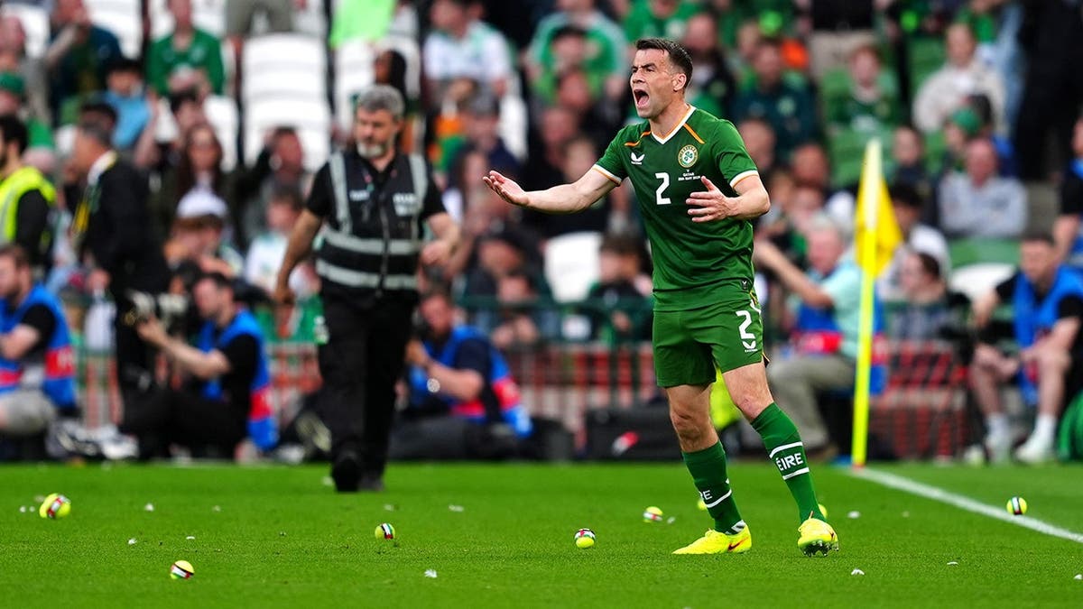 Fans Protest During Ireland vs. Qatar Soccer Match