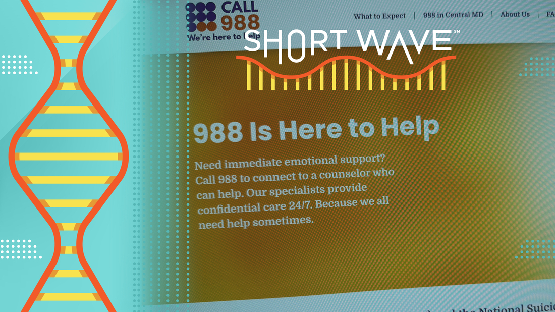 Understanding the Role of the 988 National Suicide and Crisis Lifeline