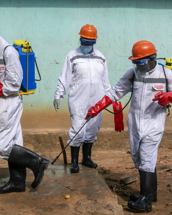 Understanding Recent Virus Outbreaks and Global Preparedness