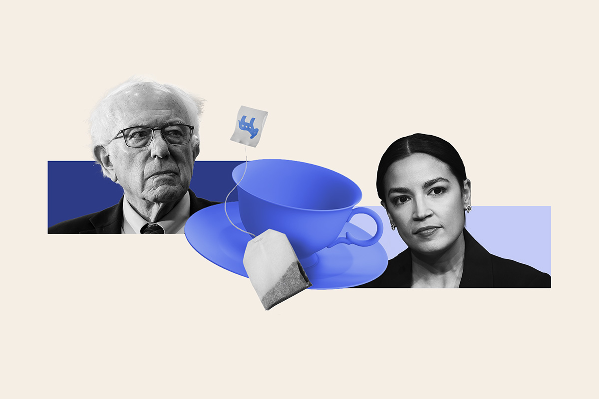 Progressive Democrats Test Influence in 2026 Primaries