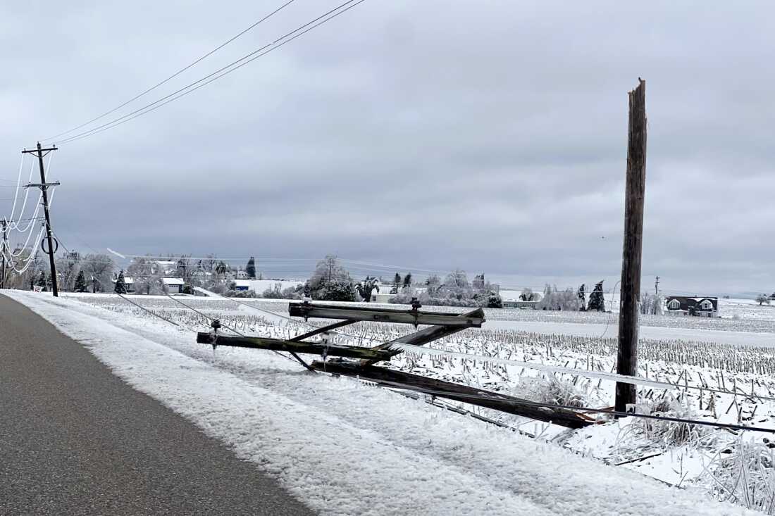 Michigan Ice Storm Spurs Drive for Underground Power Lines