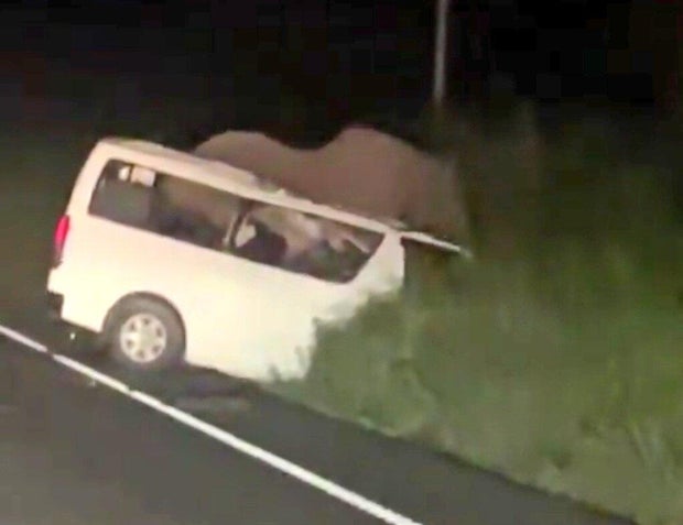 Vehicle Collision with Elephant in Uganda’s National Park