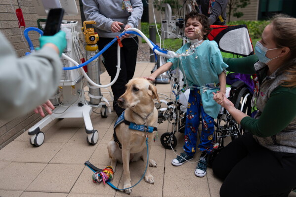 Facility Dogs Bring Comfort to Young Patients in Children’s Hospitals