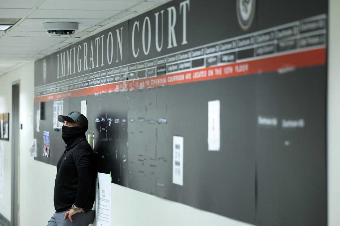 New Tactics in Immigration Courts: Mega Hearings and Accelerated Deportations