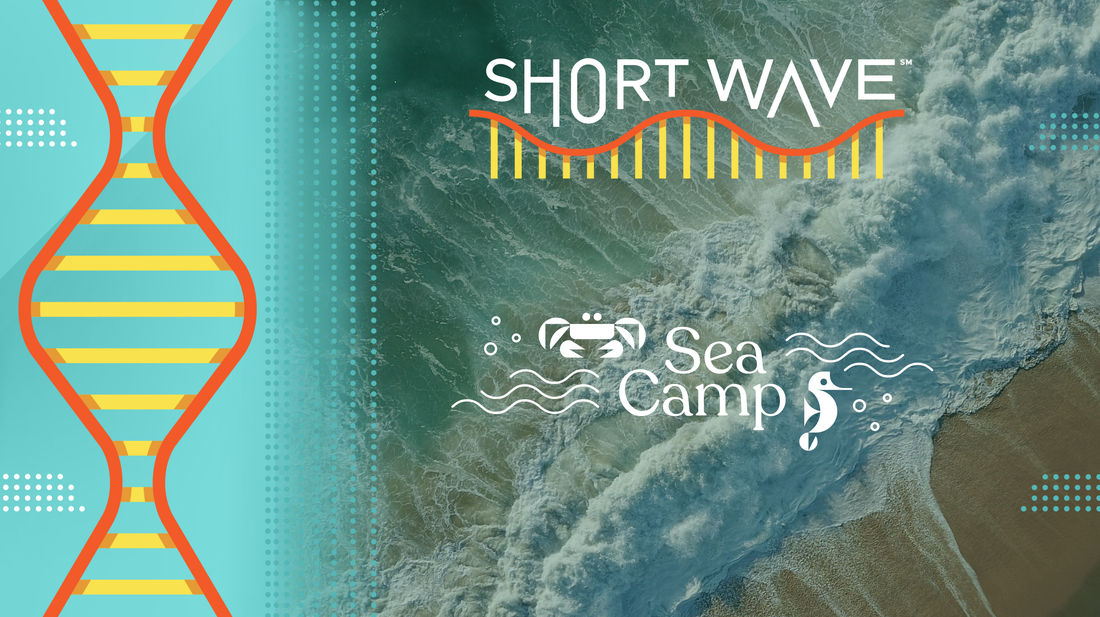 The Impact of Climate Change on Ocean Currents