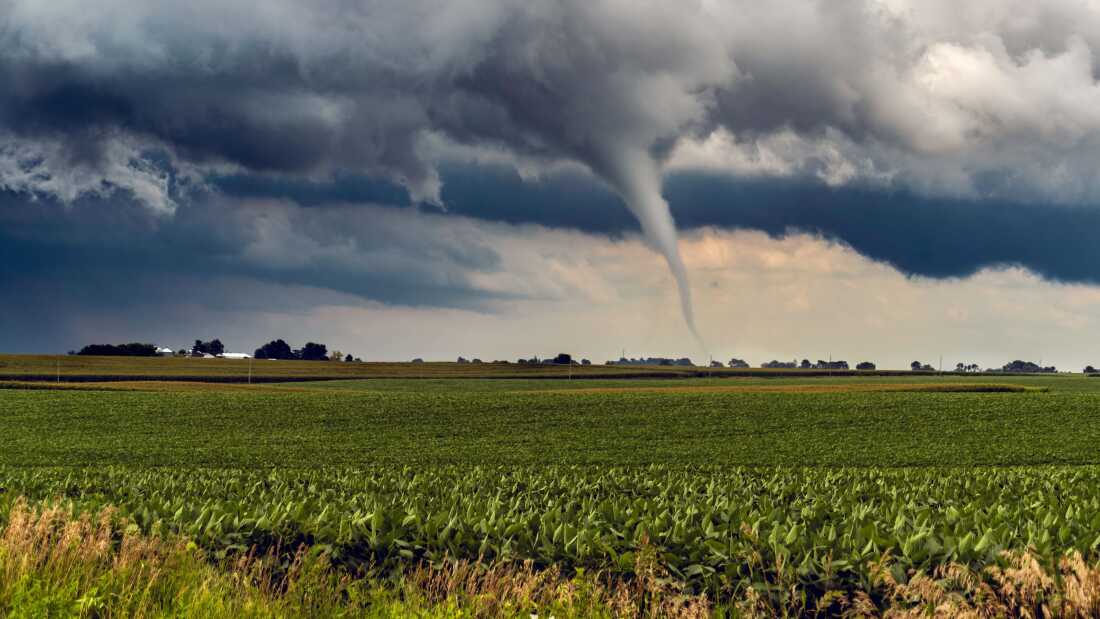 The Wind Changes: Examining Shifting Wind Patterns