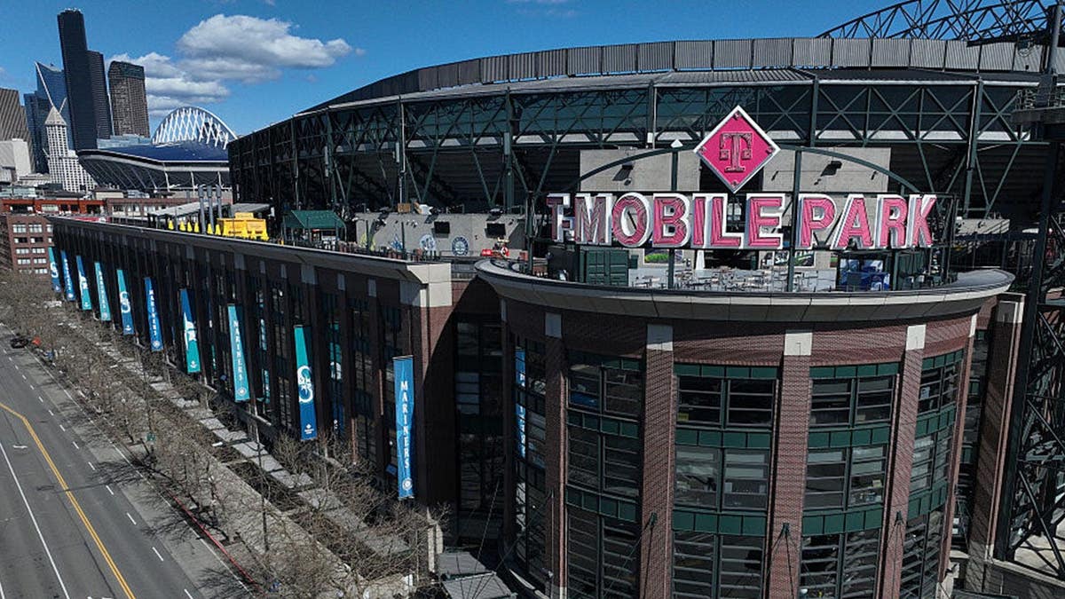 Fan Struck by Foul Ball at MLB Game