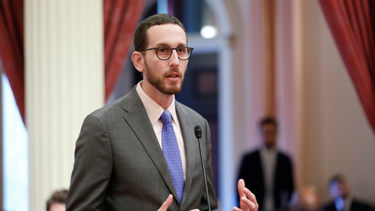 California Senator Confronted at Trans March Over Israel and Gaza Stance