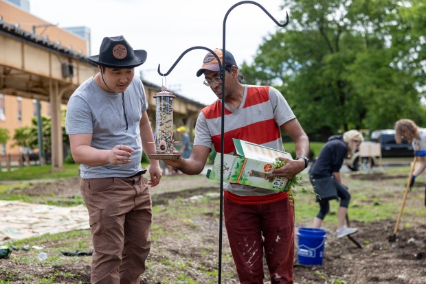 Challenges and Aspirations: Transforming an Englewood Lot into a Community Park