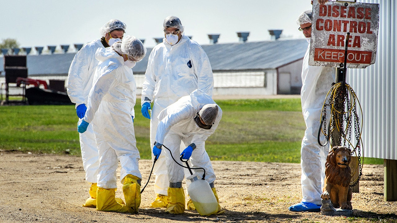 Understanding Bird Flu: Symptoms, Transmission, and Prevention