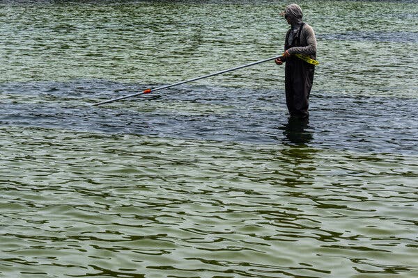 Issues Arise with Lincoln Memorial Reflecting Pool Renovation