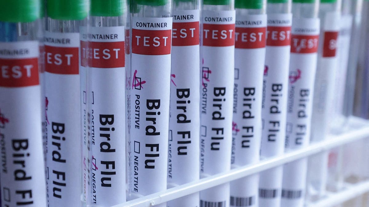 H5N1 Bird Flu Confirmed in Australia