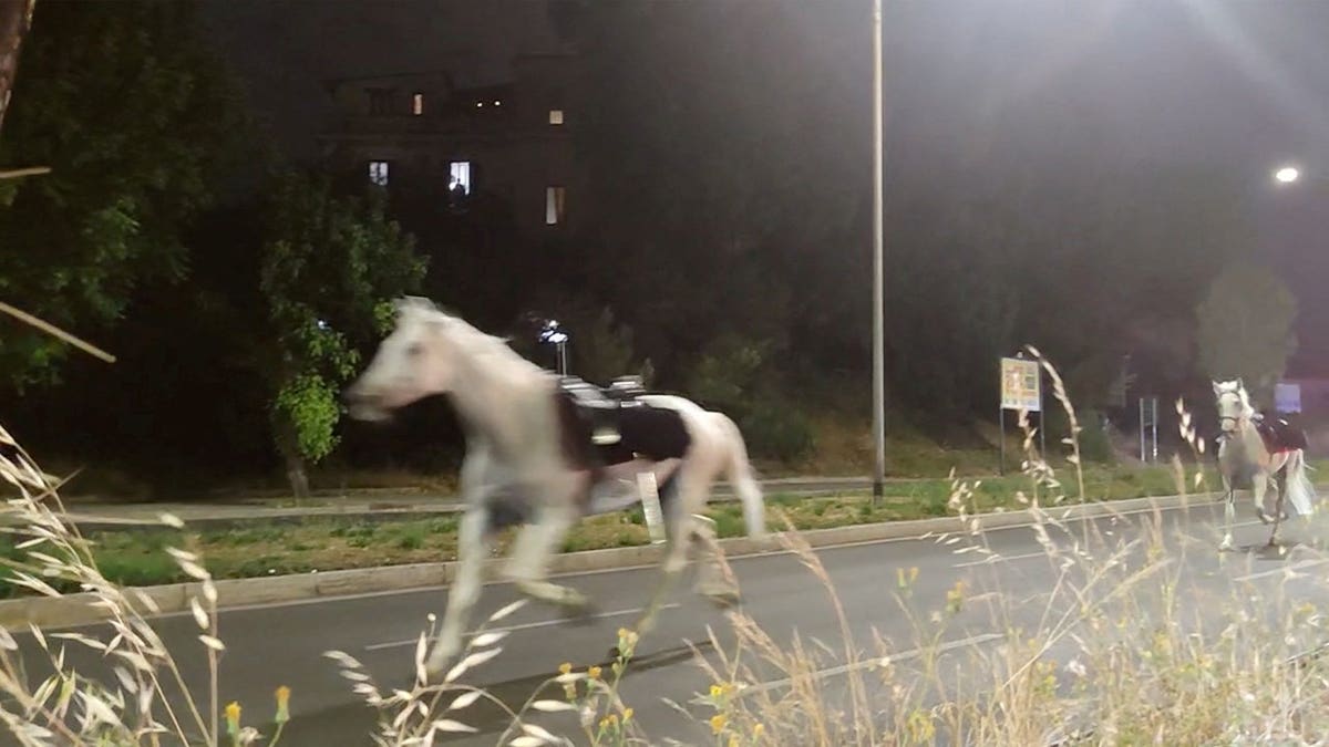 Unauthorized Fireworks Cause Stampede in Rome, Injuring Riders and Horses