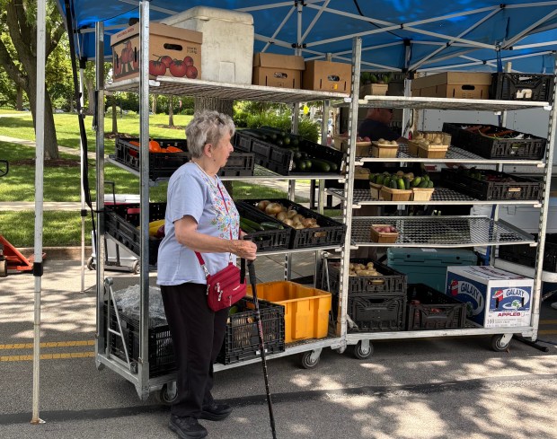 Celebrating 50 Years of Hinsdale Farmers Market