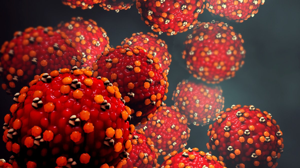 Measles Exposure Alert at Los Angeles International Airport and Nearby Hotel