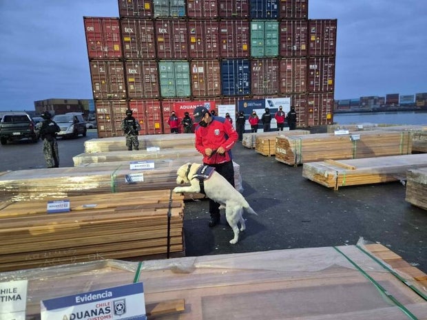 Chilean Authorities Achieve Historic Drug Seizure in Lumber Shipments