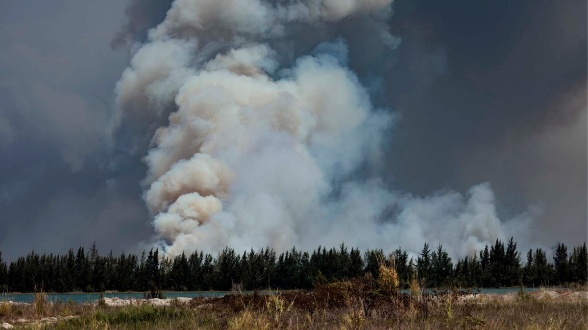 Brush Fires in Miami-Dade Continue to Pose Challenges
