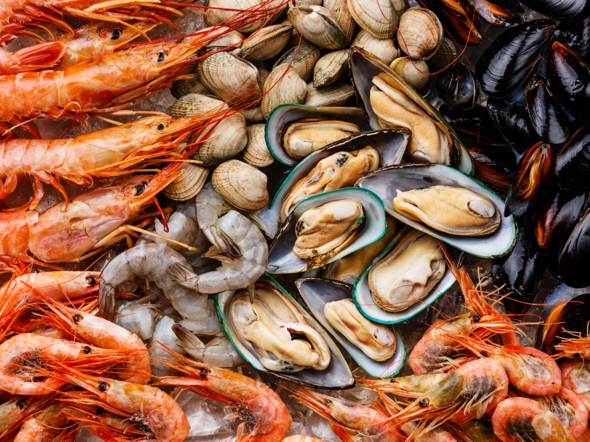 New Definition for Shellfish: FWS Updates Classification