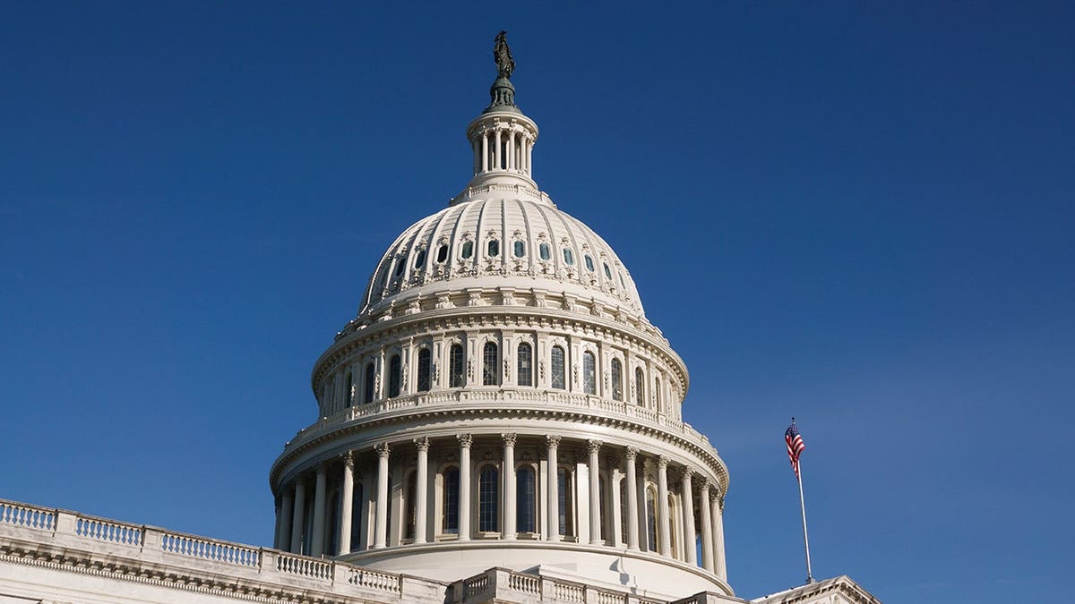 Senate Intervention in College Sports Regulation