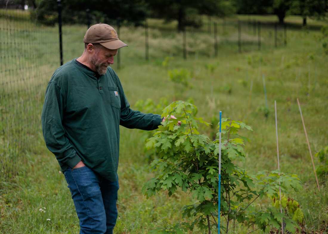 Changes in Forest Service Operations Threaten Research and Collaboration