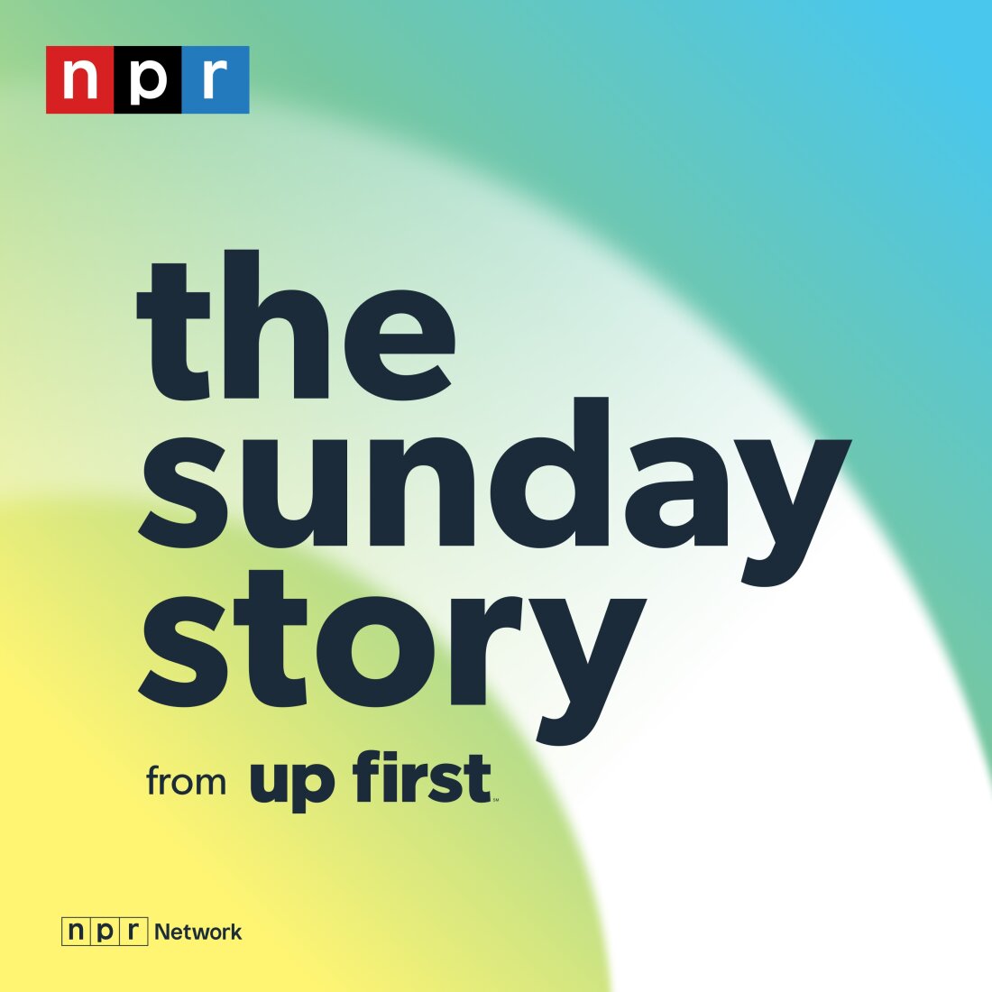 The Sunday Story: Where Storytelling Meets Current Issues