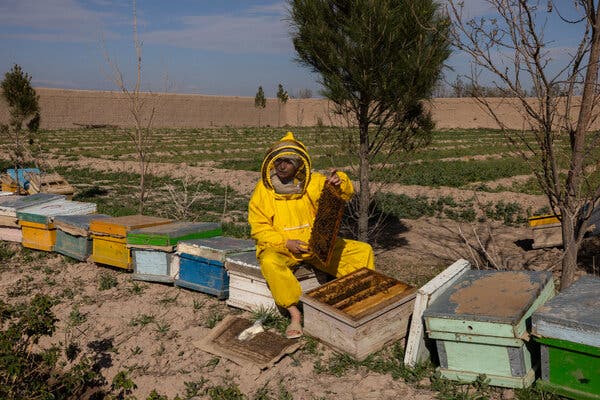Afghan Women Turn to Entrepreneurship Under Taliban Restrictions