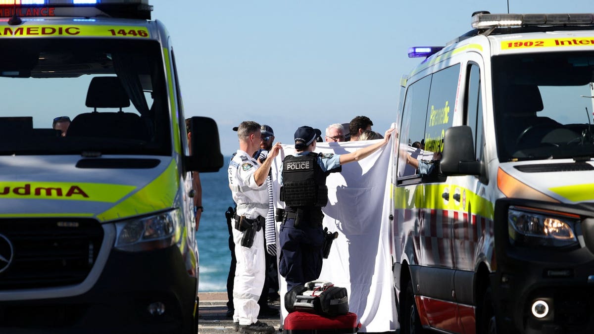Shark Attack Injures Woman at Sydney Beach Amid Recent Surge in Shark Incidents