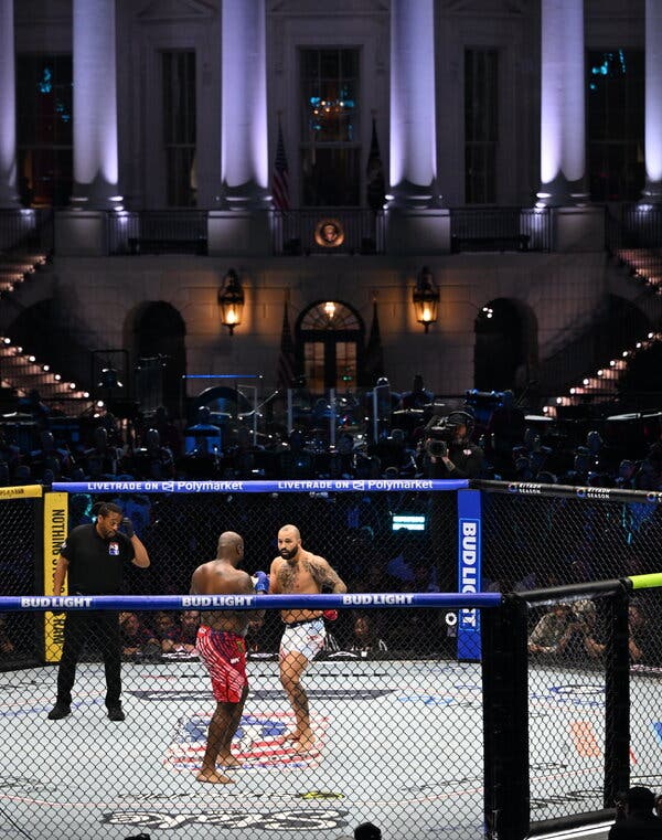 Cultural Shift in Washington: From Symphony to UFC