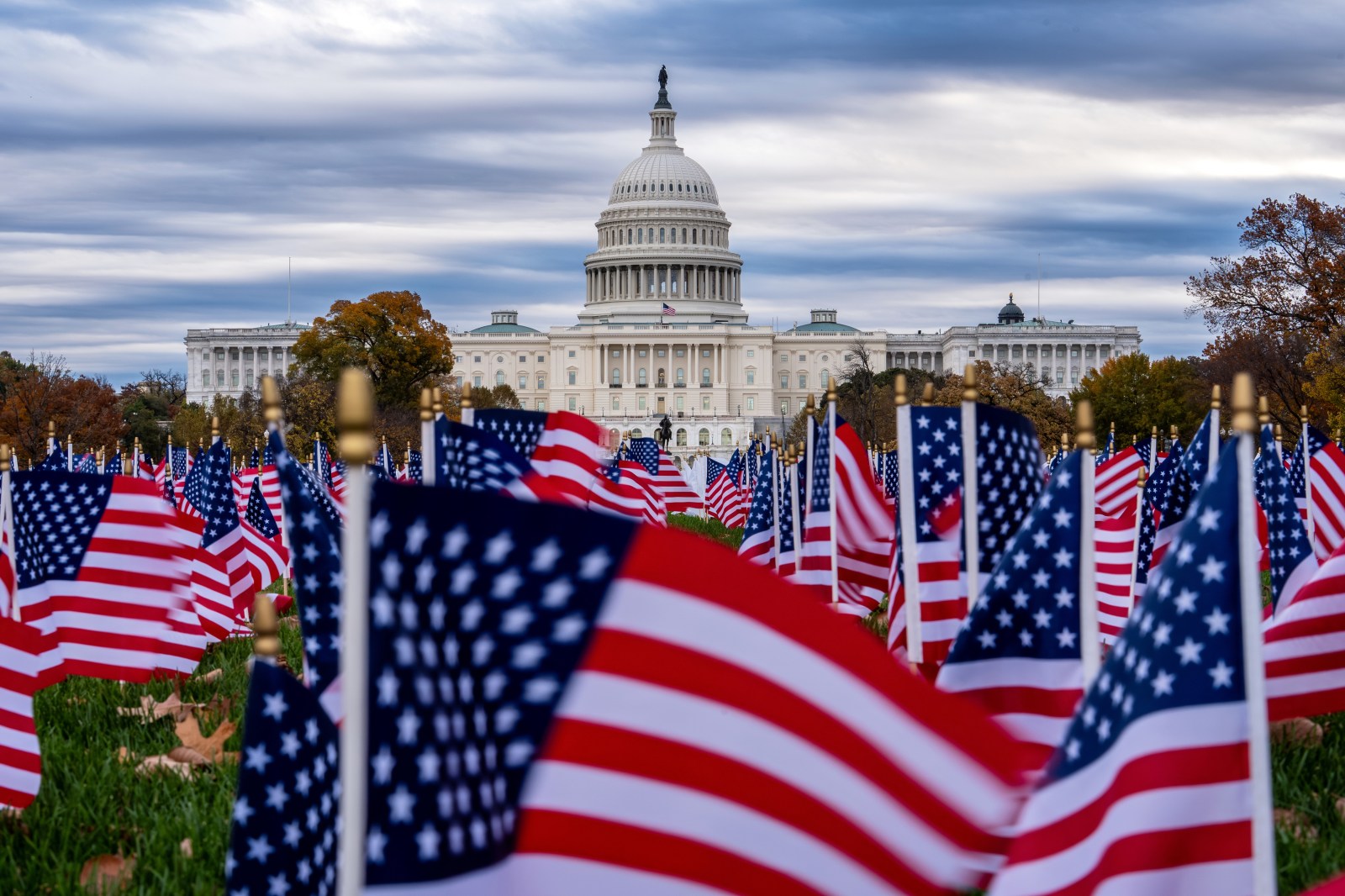 Cultural Divide in American Pride: Pop Culture vs. Military