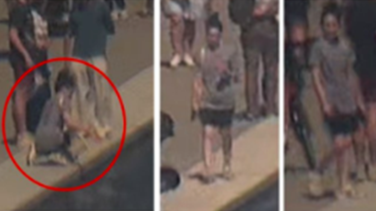 Investigation into Damage at Lincoln Memorial Reflecting Pool