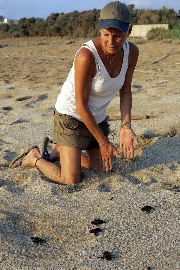 Mona Khalil’s Legacy in Sea Turtle Conservation