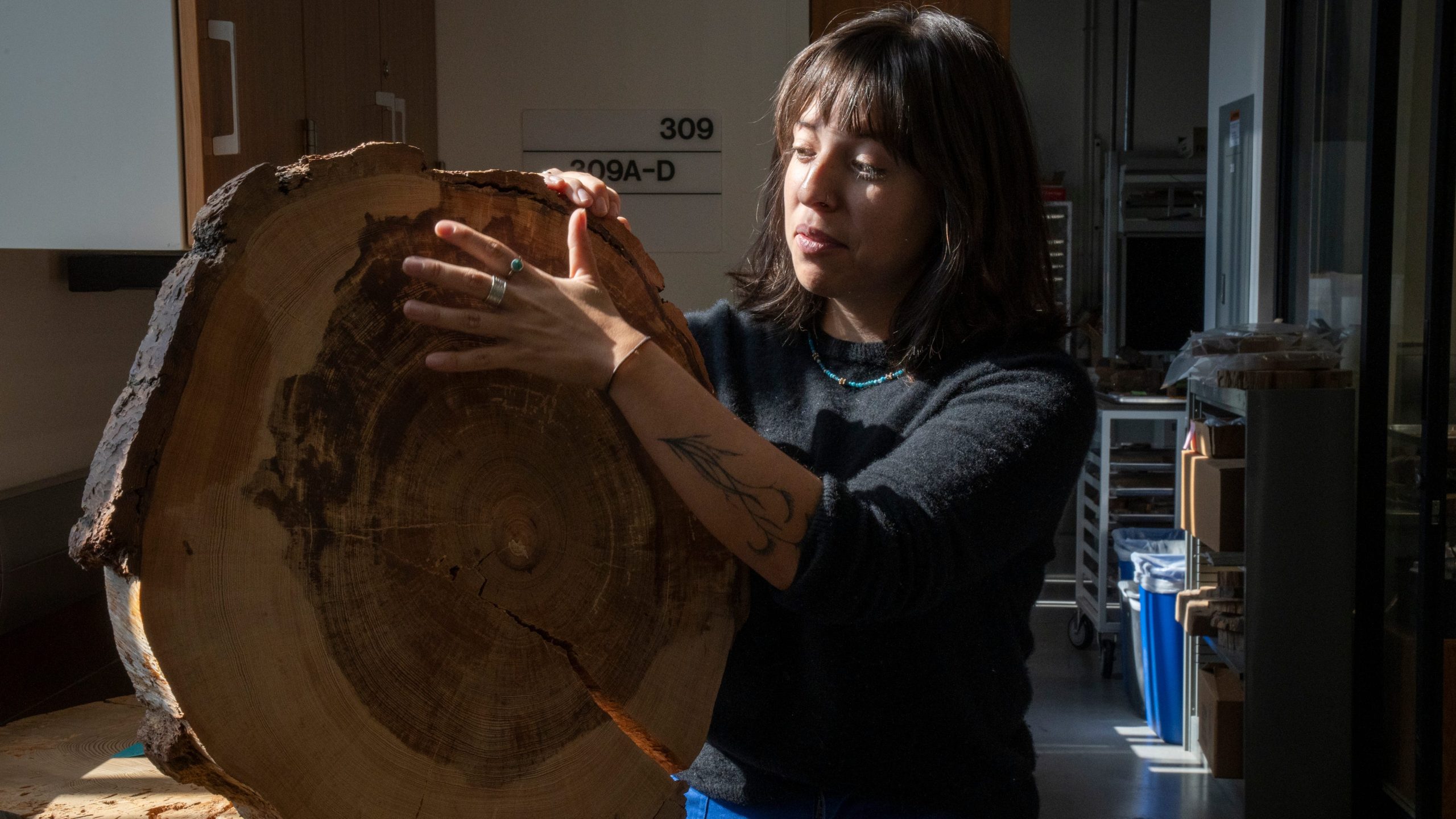 Tree Rings: Nature’s Weather Archive