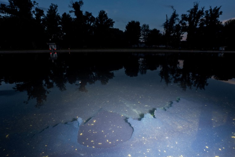 Arrests Made in Alleged Lincoln Memorial Reflecting Pool Vandalism