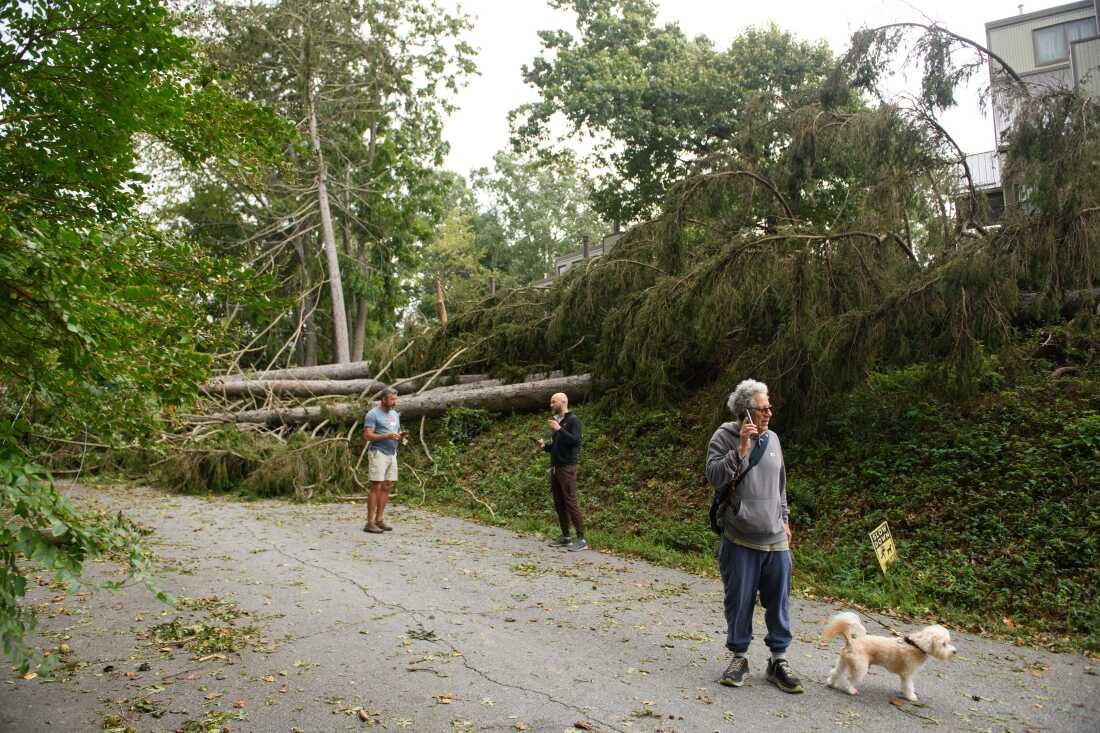 Residents and Carriers Brace for Hurricane Season’s Impact on Communications