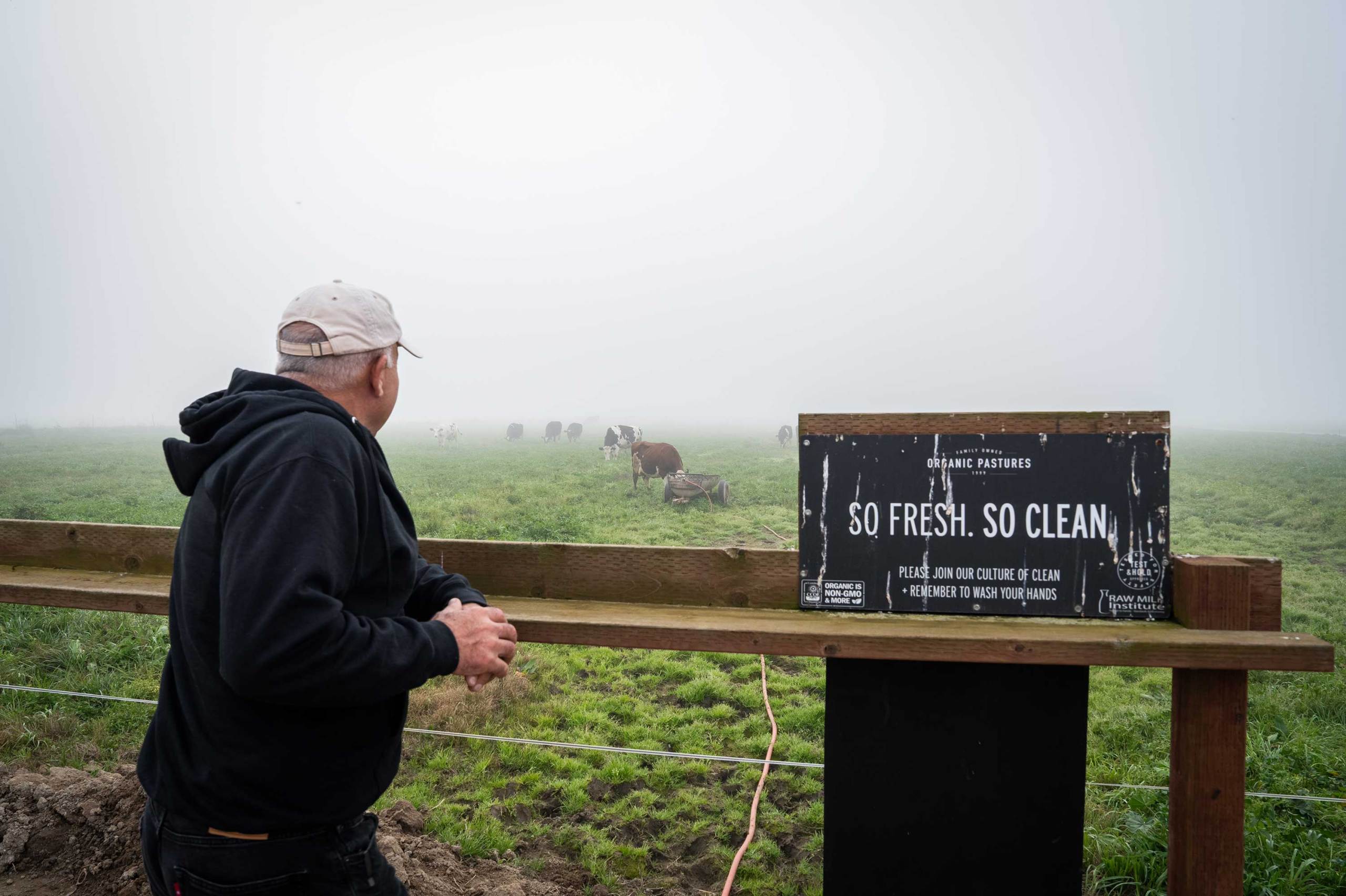 Raw Milk’s Rising Popularity Amid Safety Concerns and Political Support