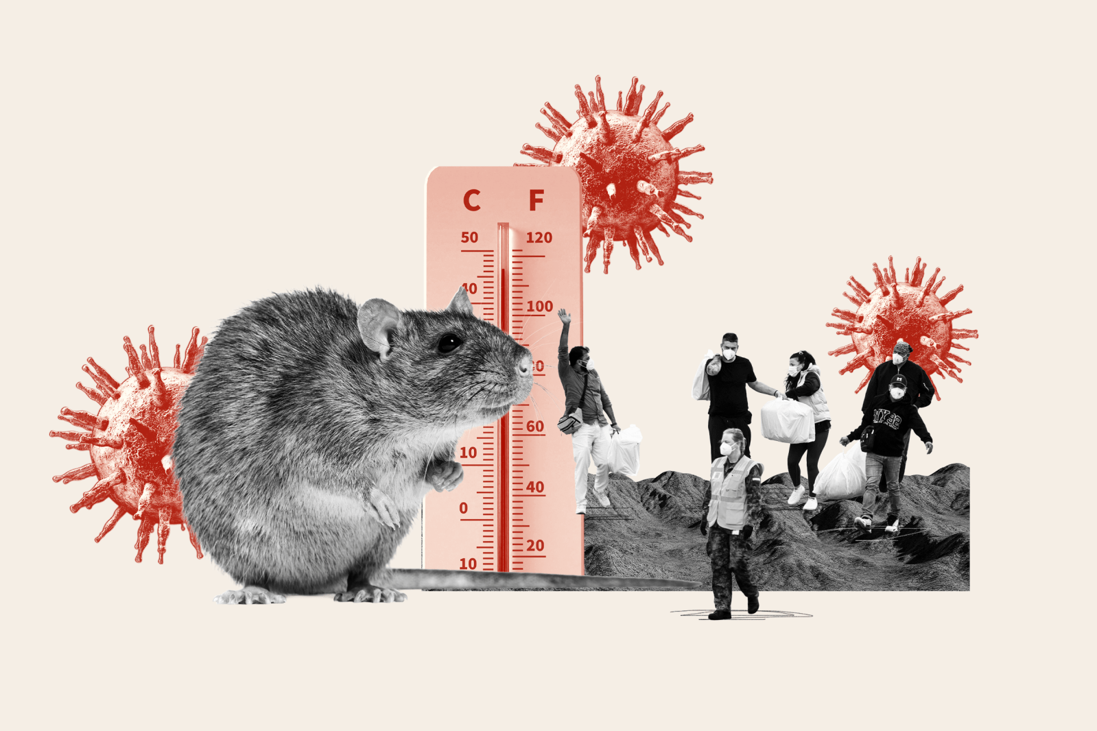 Potential Impact of Super El Niño on Hantavirus Risk in the U.S.