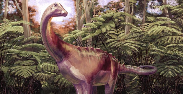 Rare Dinosaur Fossil from Antarctica Unearthed