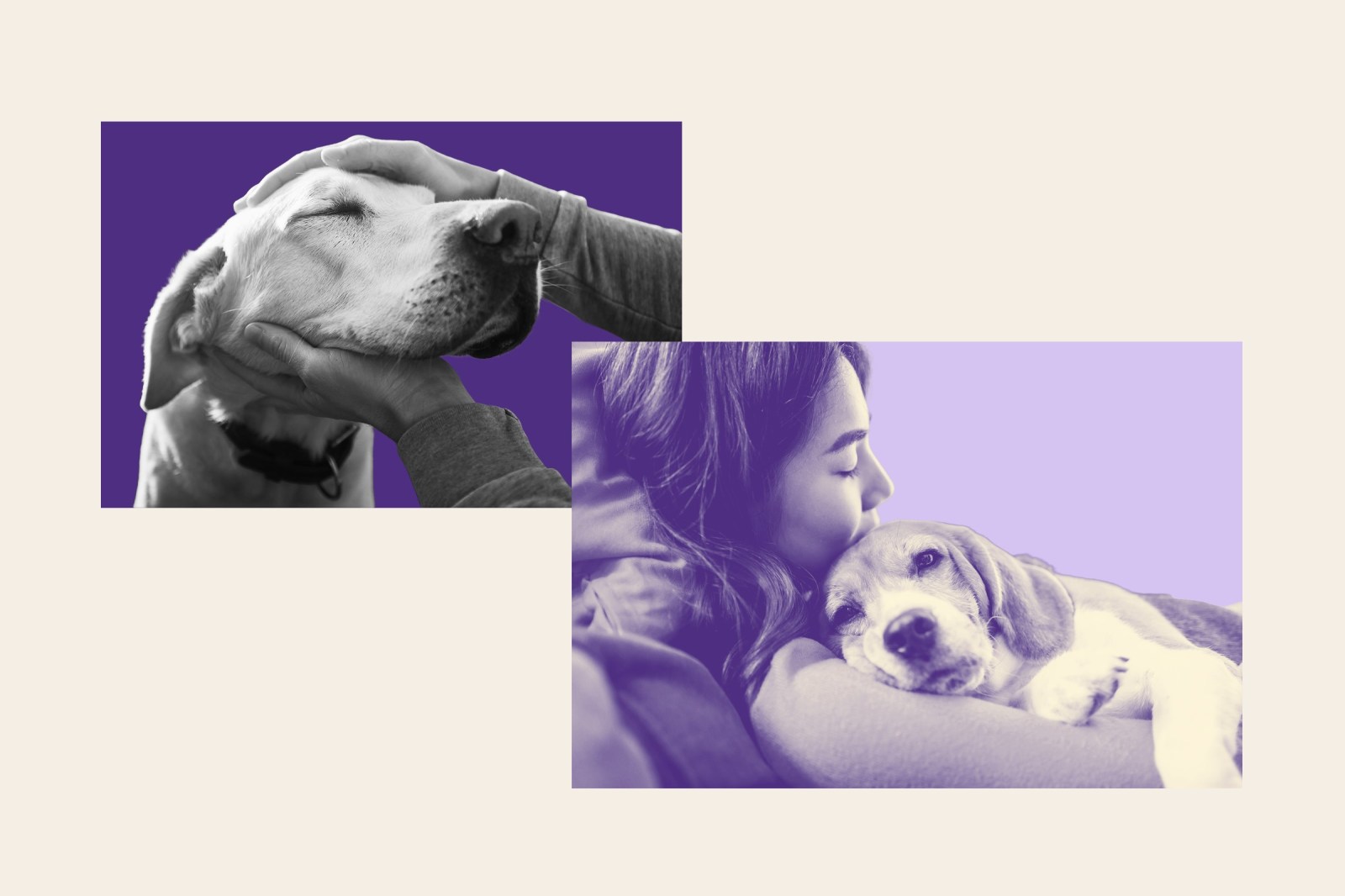 Millennials Redefine Dog Ownership with Gentle Parenting Approach