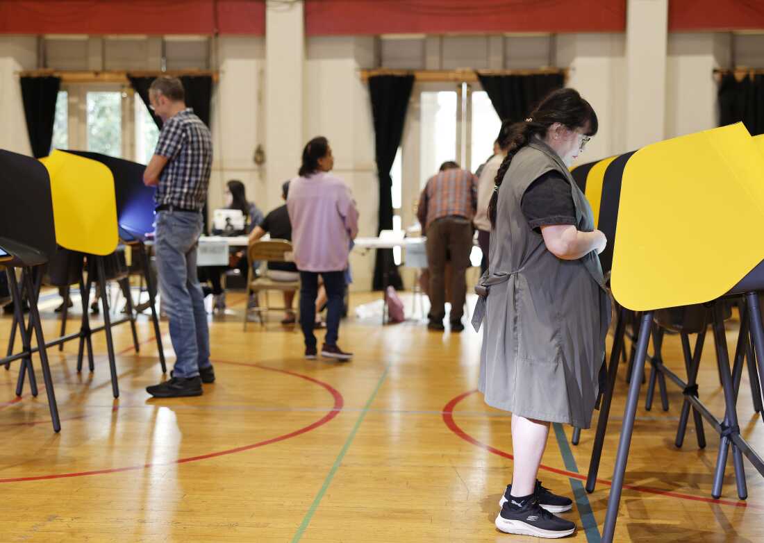 Republican Voting Overhaul Faces Challenges in Senate