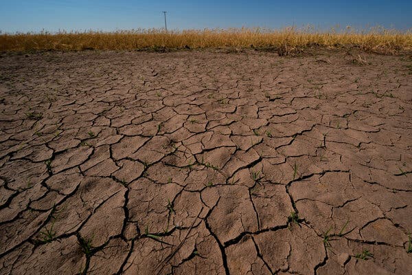 NOAA Confirms El Niño and Warns of Global Weather Impacts