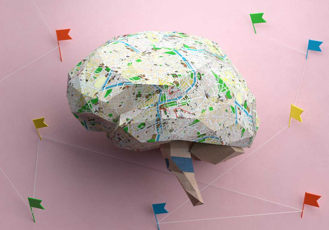 New Study Links Neighborhood Socioeconomics to Preteen Brain Differences