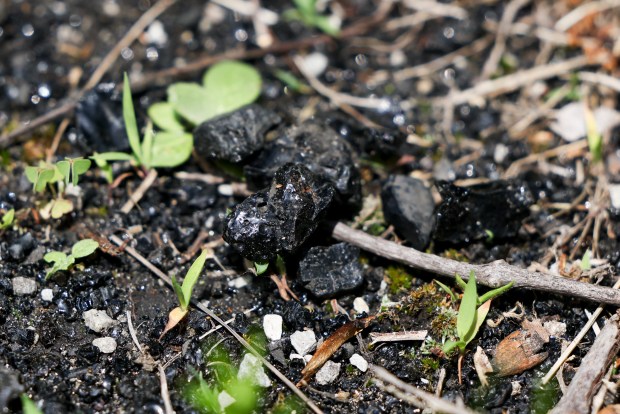 Coal Ash Contamination Raises Concerns in Town of Pines, Indiana