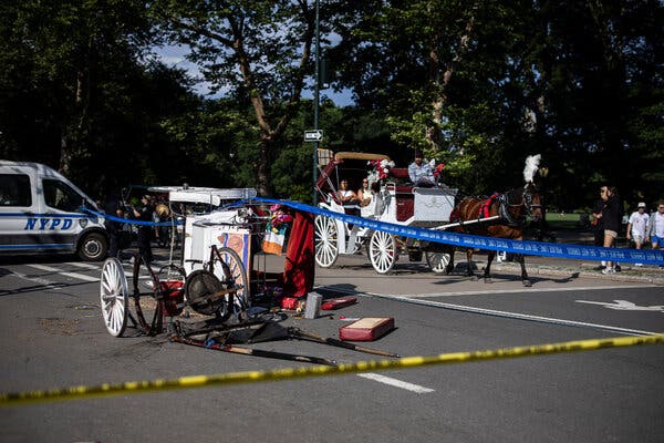 Central Park Horse Carriage Safety Under Scrutiny
