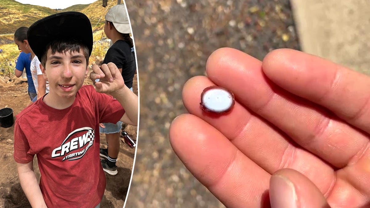 Sixth Grader Discovers Rare Gemstone at Biblical Site