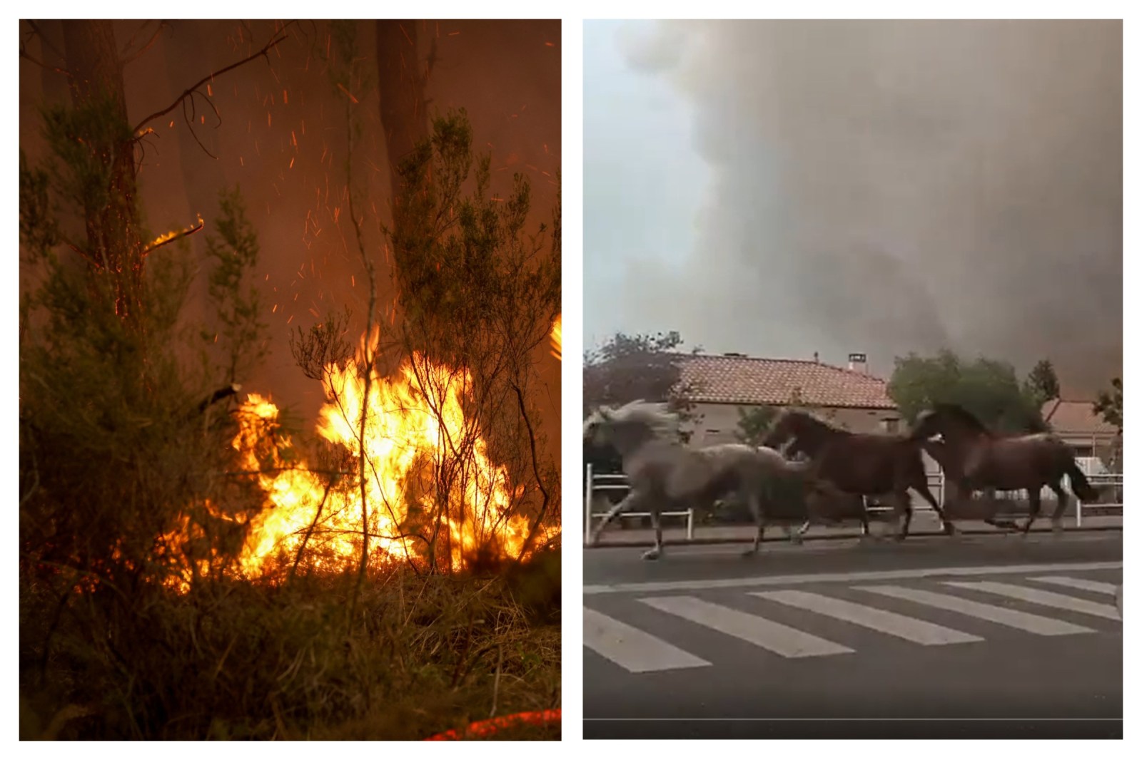 Wildfires in France and Spain Force Mass Evacuations and Threaten Homes