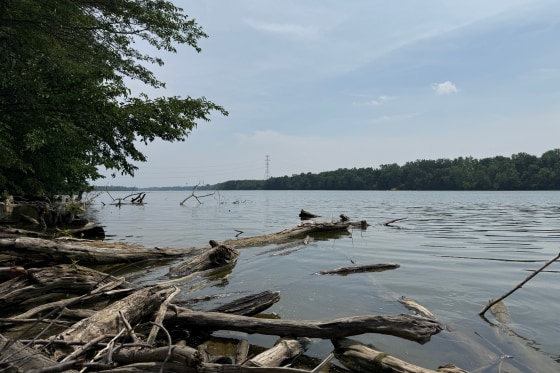 Five Die in Ohio River Tragedy While Attempting Rescue